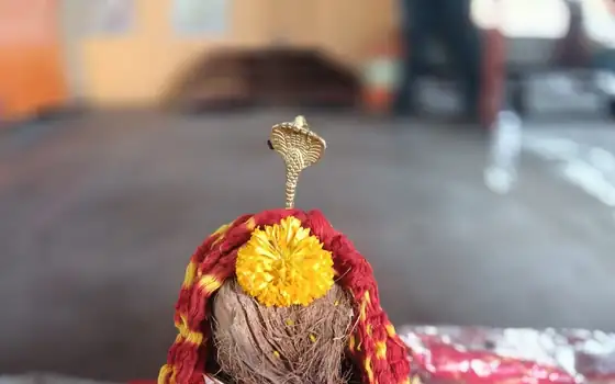 Grahan Dosh Nivaran Puja